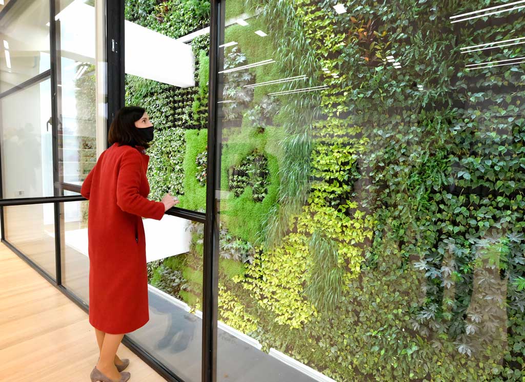 El nuevo jardín vertical de Santander logra captar gran atención internacional