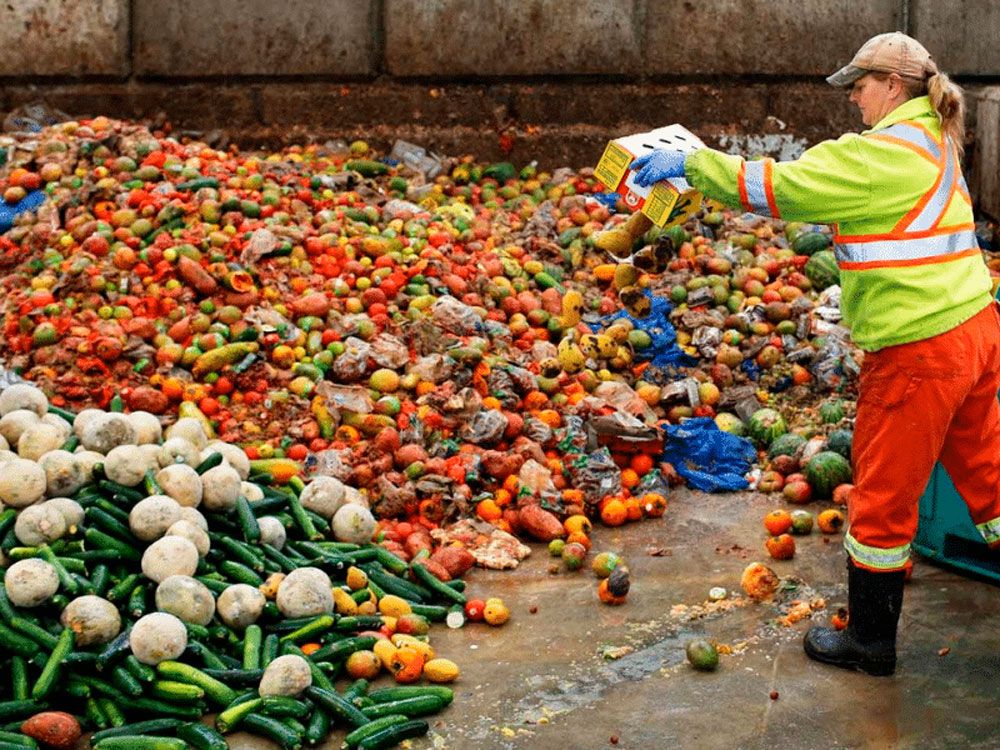 El desperdicio alimentario, una prioridad para todos, consumidores y fabricantes