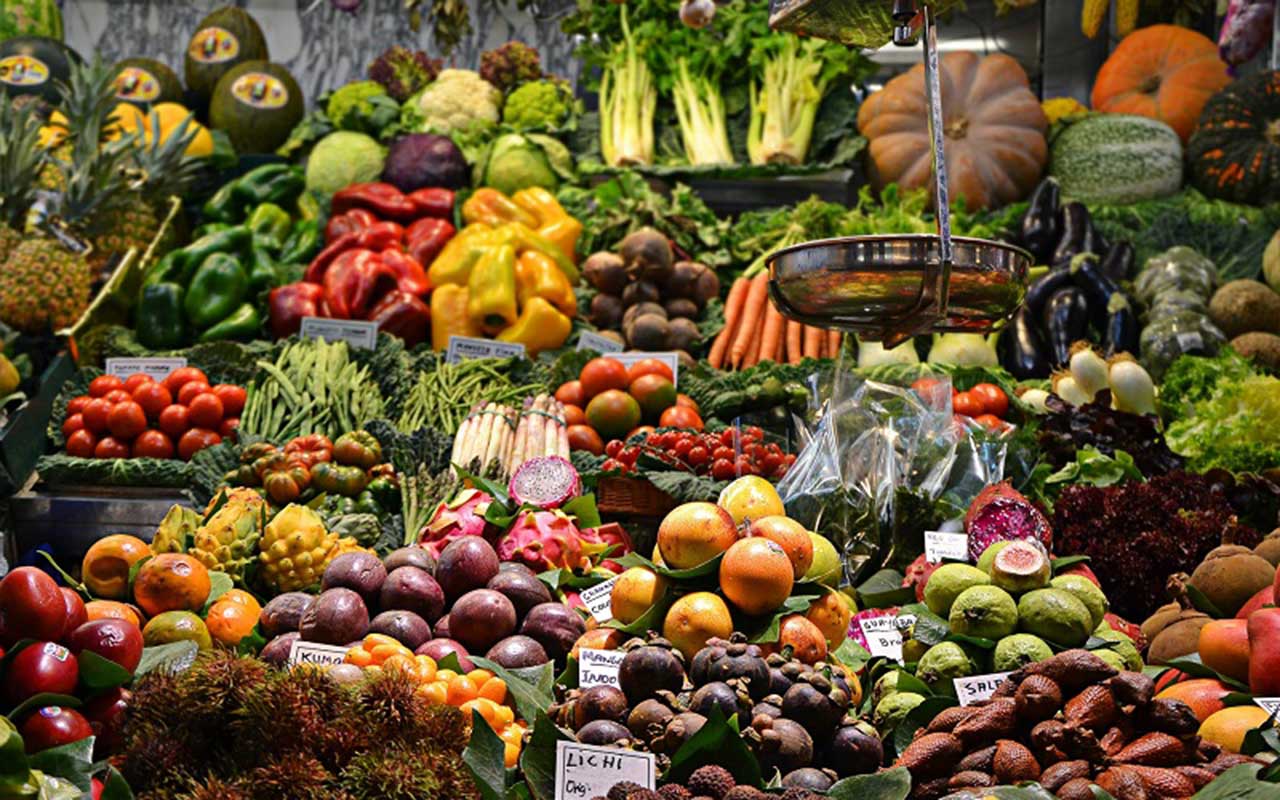 La importancia de los alimentos silvestres para la seguridad alimentaria en tiempos de COVID-19