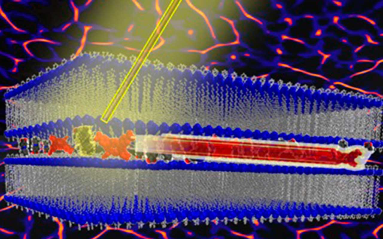 Diseñada una máquina molecular artificial impulsada por la luz 