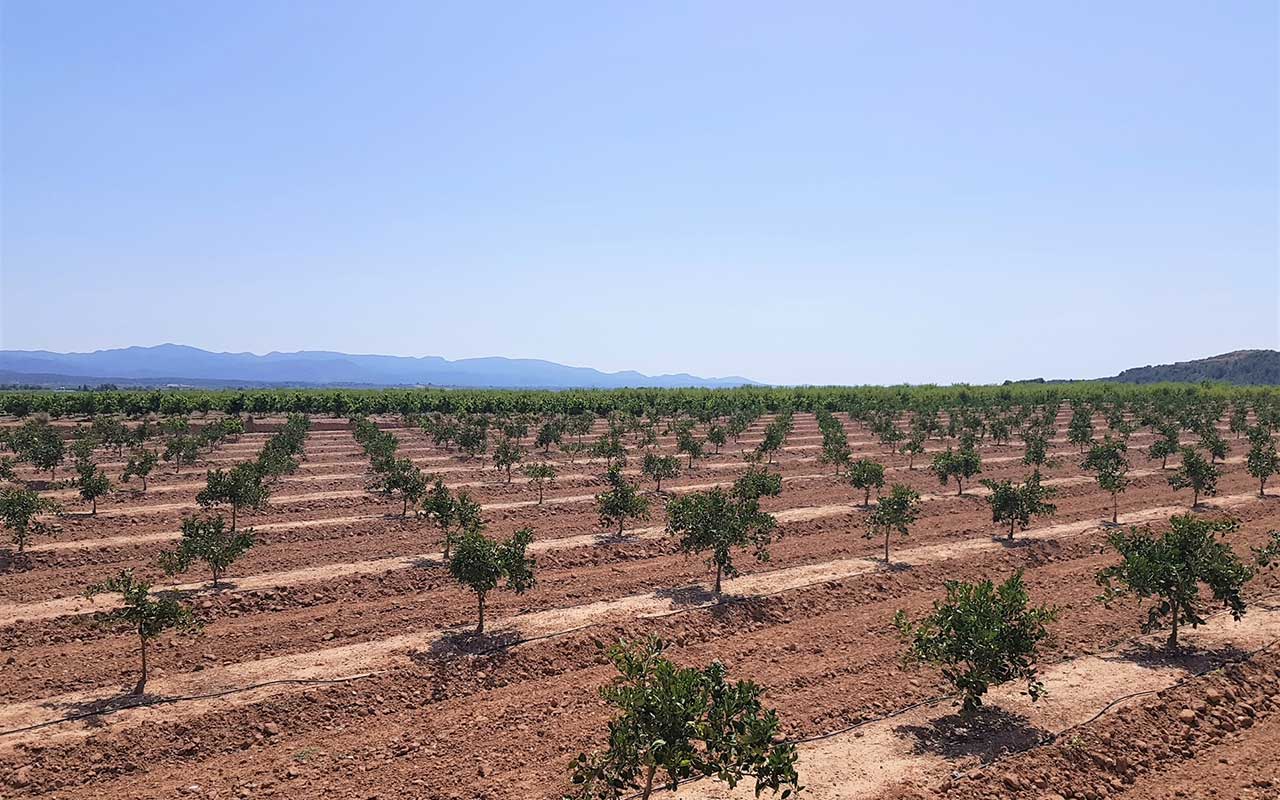Real Decreto para reducir la contaminación por nitratos y reforzar la protección de las masas de agua más vulnerables