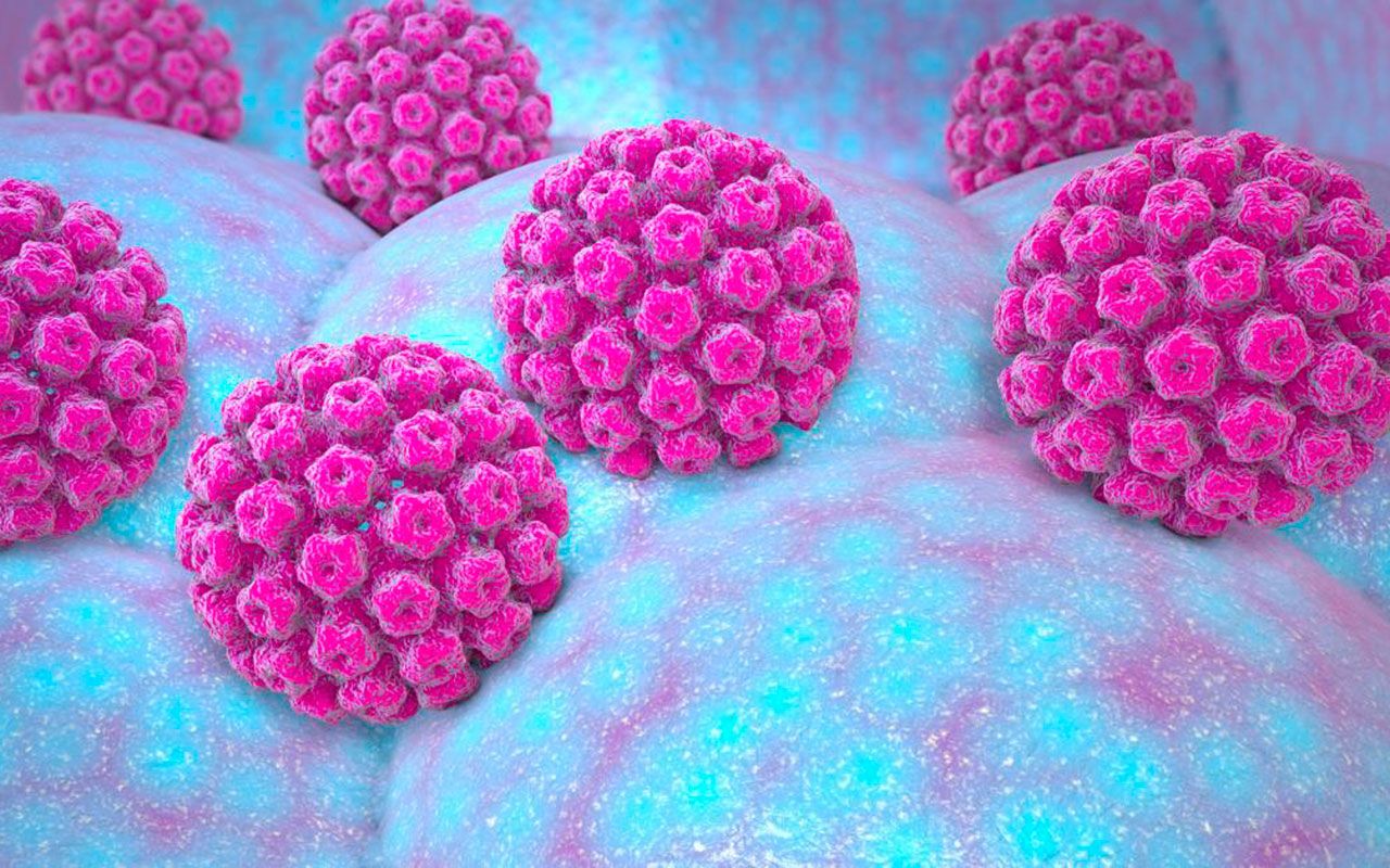 Claves para plantar cara al Virus del Papiloma Humano