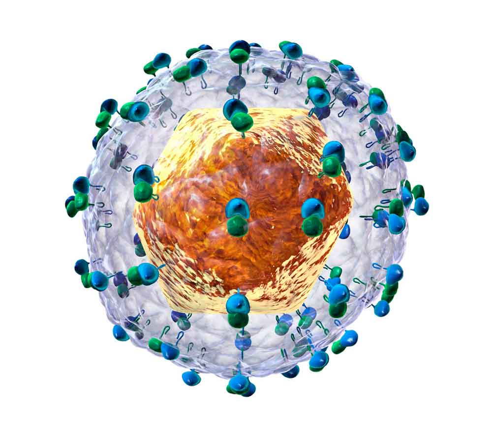 Desarrollan novedosas moléculas inhibidoras del virus de la hepatitis C mediante evolución in vitro