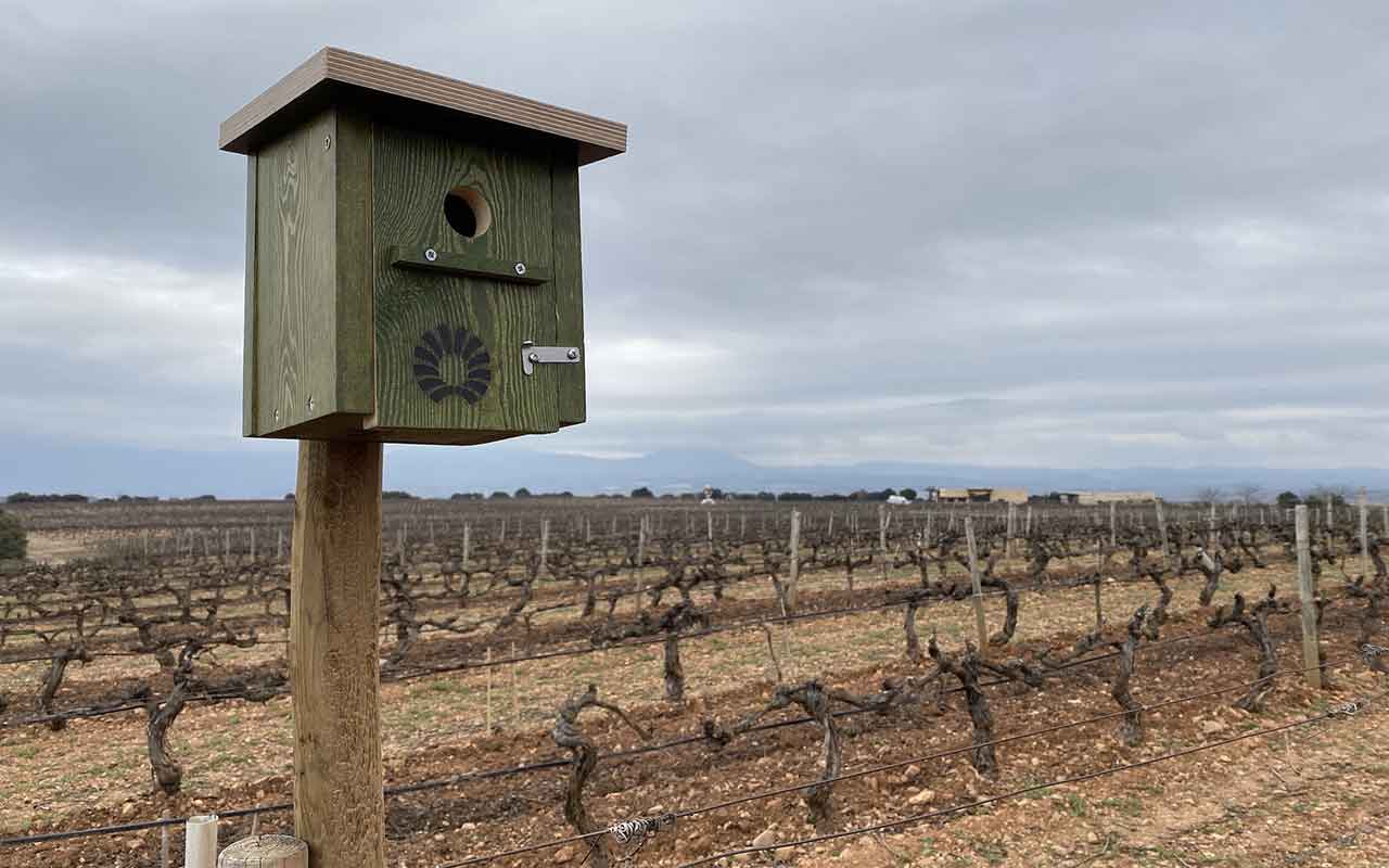 PRW Spain instala 200 cajas nido en el Monte Ulía de San Sebastián y en sus viñedos de Rioja y Ribera del Duero