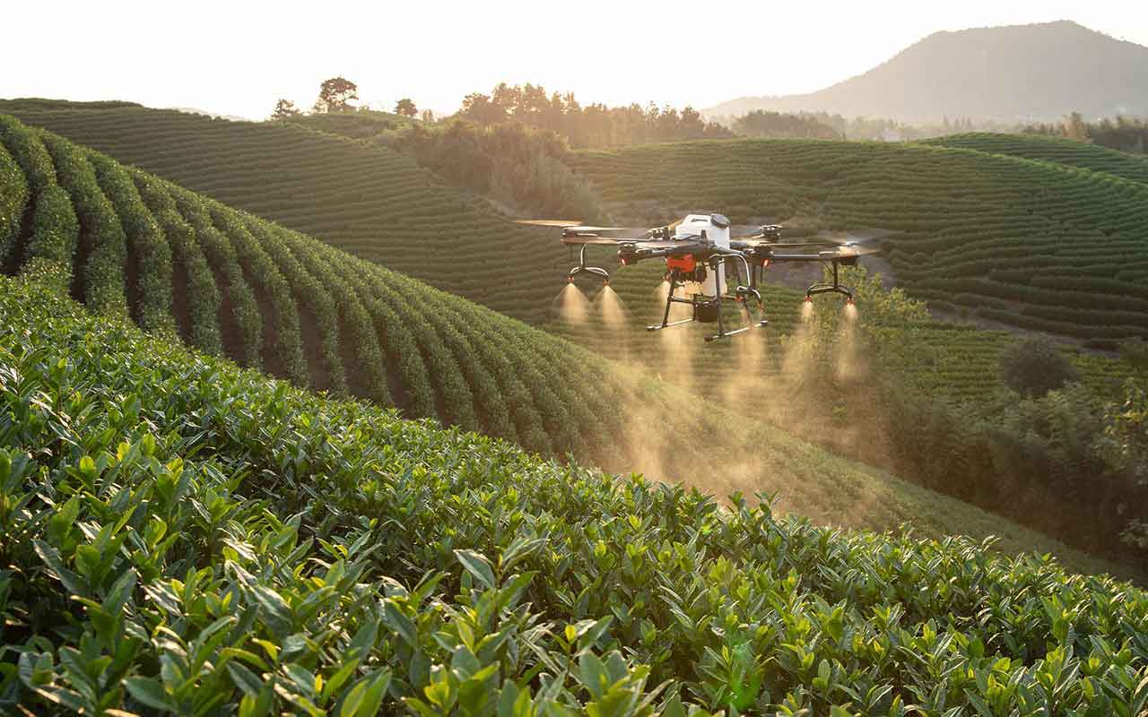 AXA, Unilever y Tikehau Capital lanzarán un fondo de impacto dedicado a acelerar la transición a la agricultura regenerativa