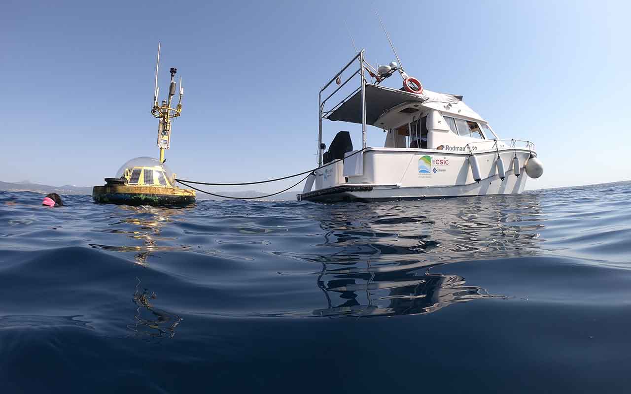 Un equipo del CSIC identifica la tendencia de acidificación del mar Balear a través de inteligencia artificial