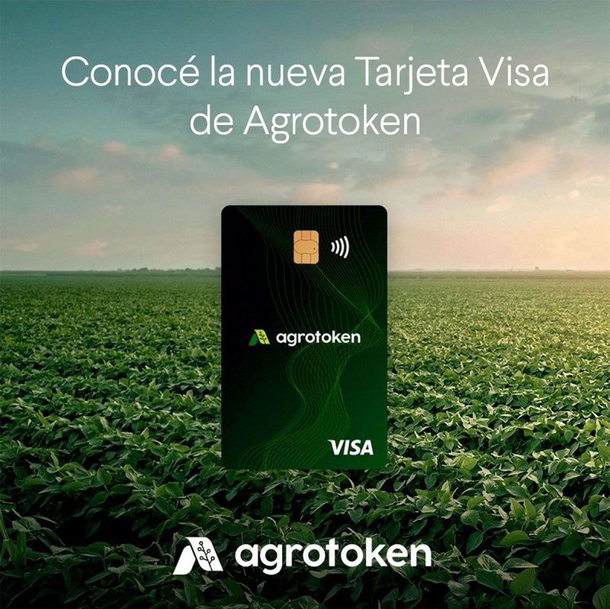 Tarjeta Visa de Agrotoken, pagar con granos en todo el mundo y desde el celular