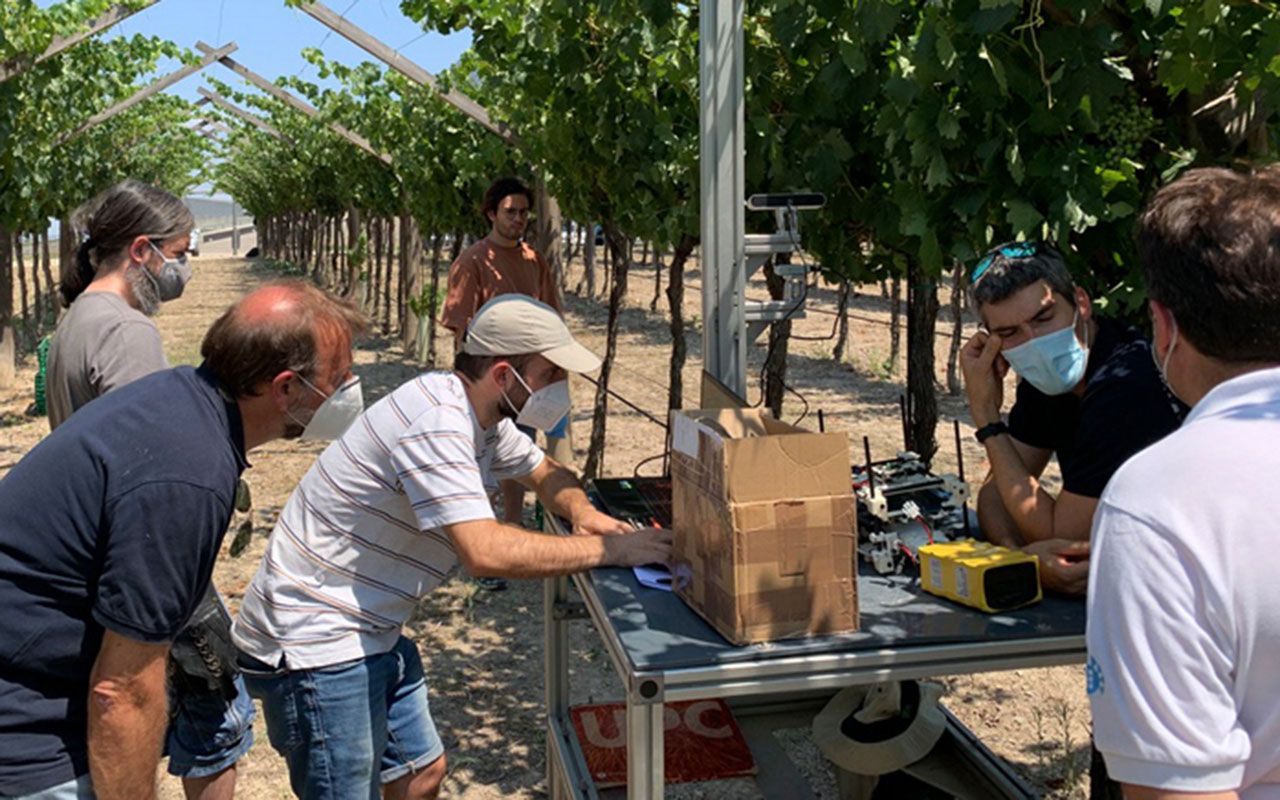 Desarrollan robots cooperativos para recolectar uvas de mesa