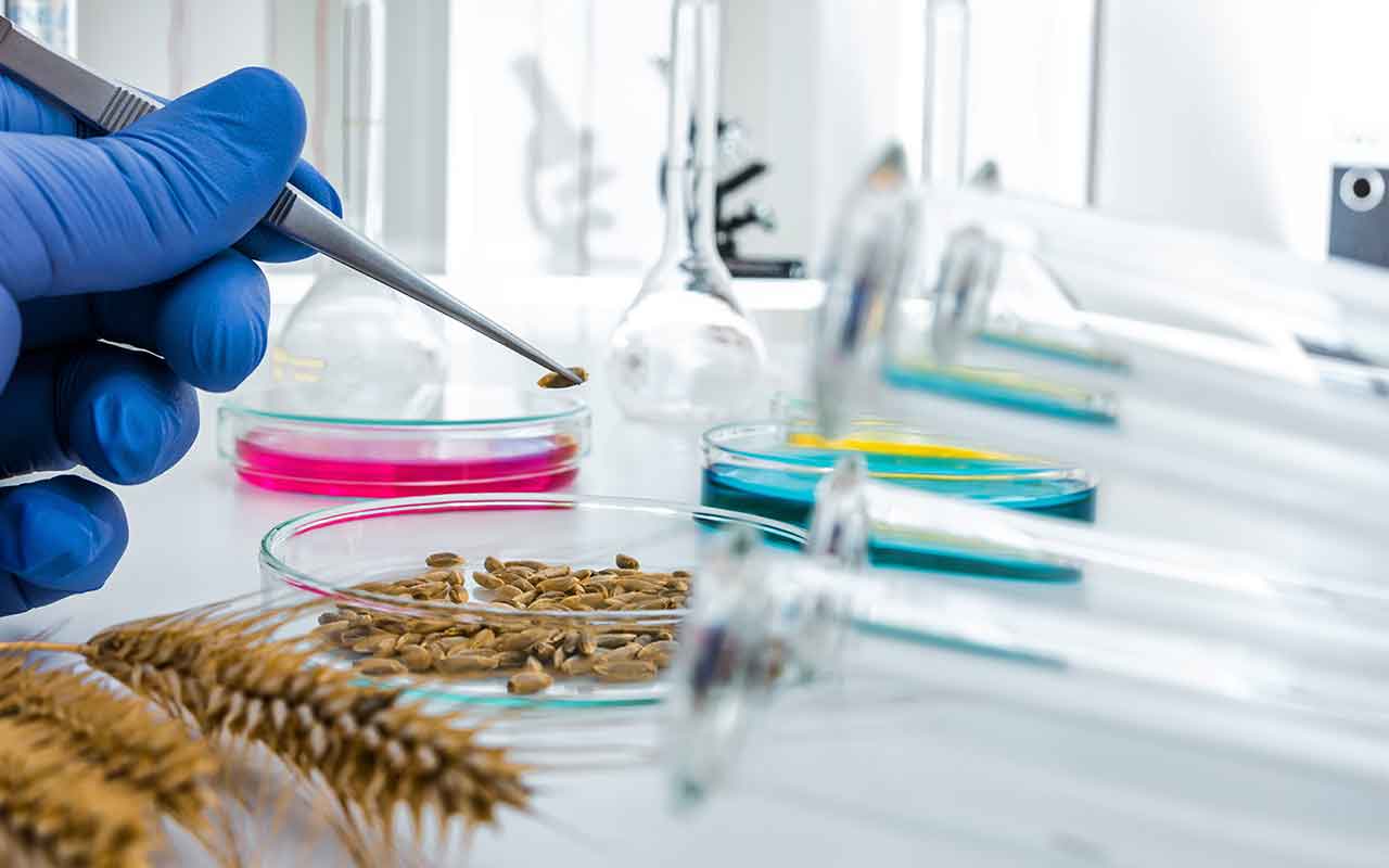 Red TecnomiFood: 3,25 millones de euros en contratos con empresas en tecnologías ómicas, aplicadas a la innovación en alimentos funcionales y nutracéuticos