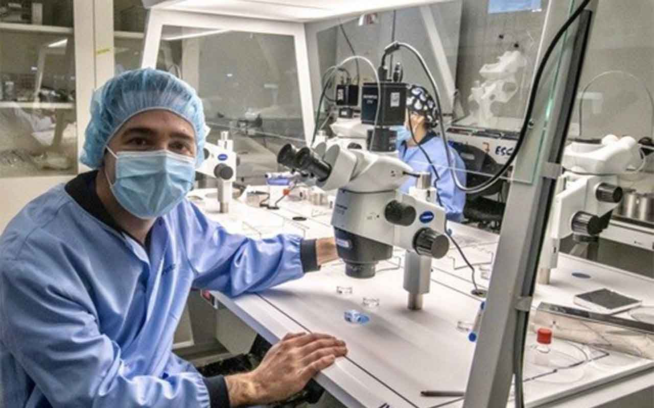 El primer ensayo clínico del mundo de la transferencia de huso materno muestra su eficacia para tratar la infertilidad