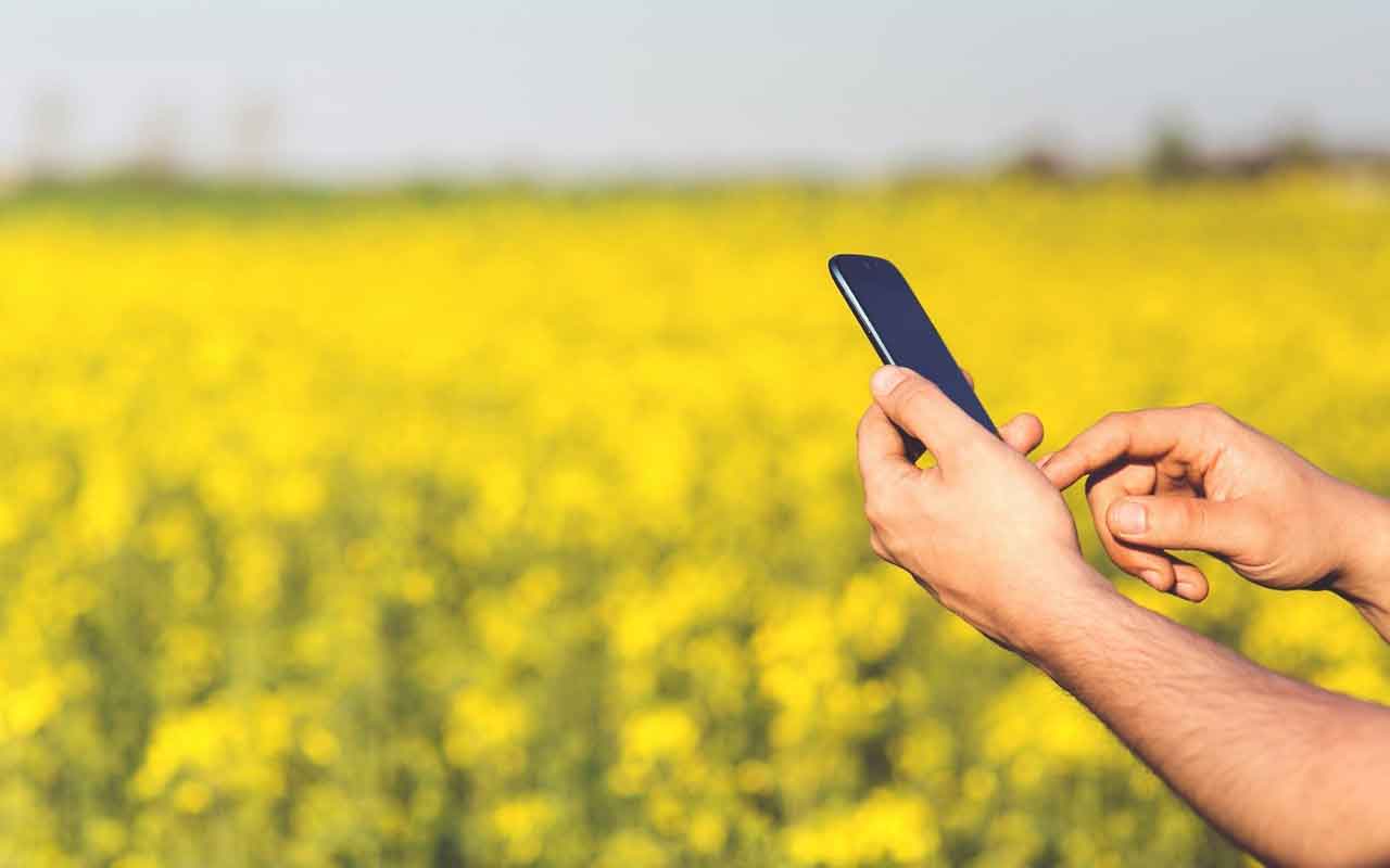 Una aplicación que permite optimizar el trabajo de los agricultores