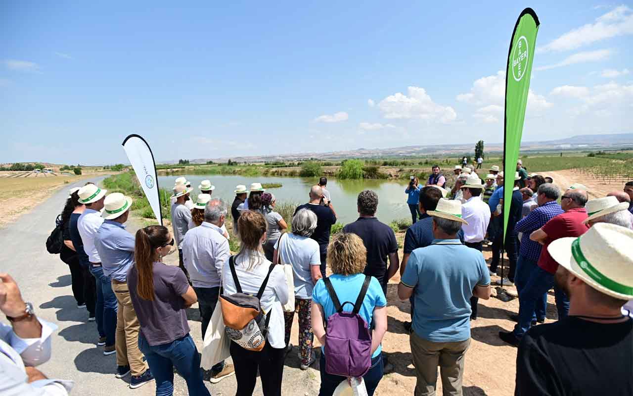Bayer presenta el proyecto Dionisio para fomentar la biodiversidad en explotaciones agrarias