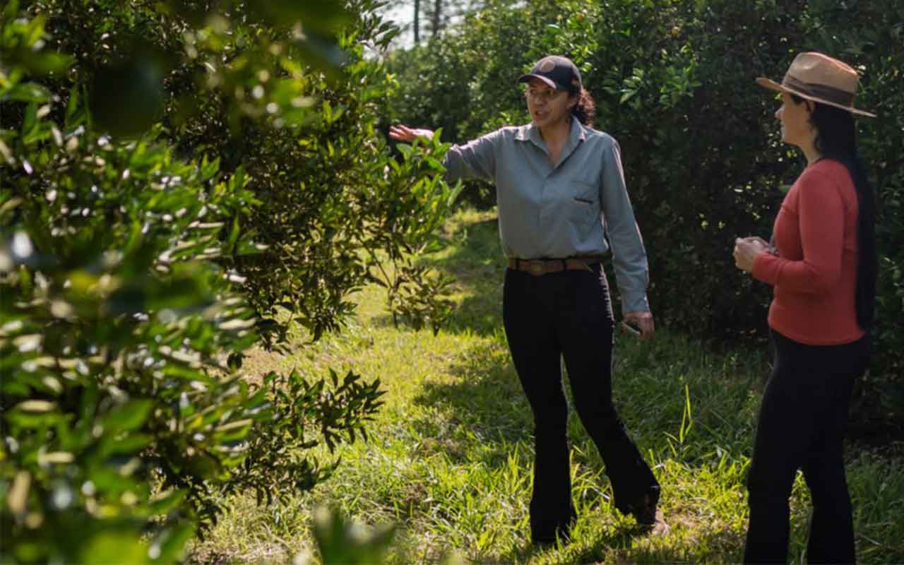 Eckes-Granini: De un cultivo de naranjas en Brasil a fabricante de zumos en Alemania, haciendo de la sostenibilidad una apuesta ganadora
