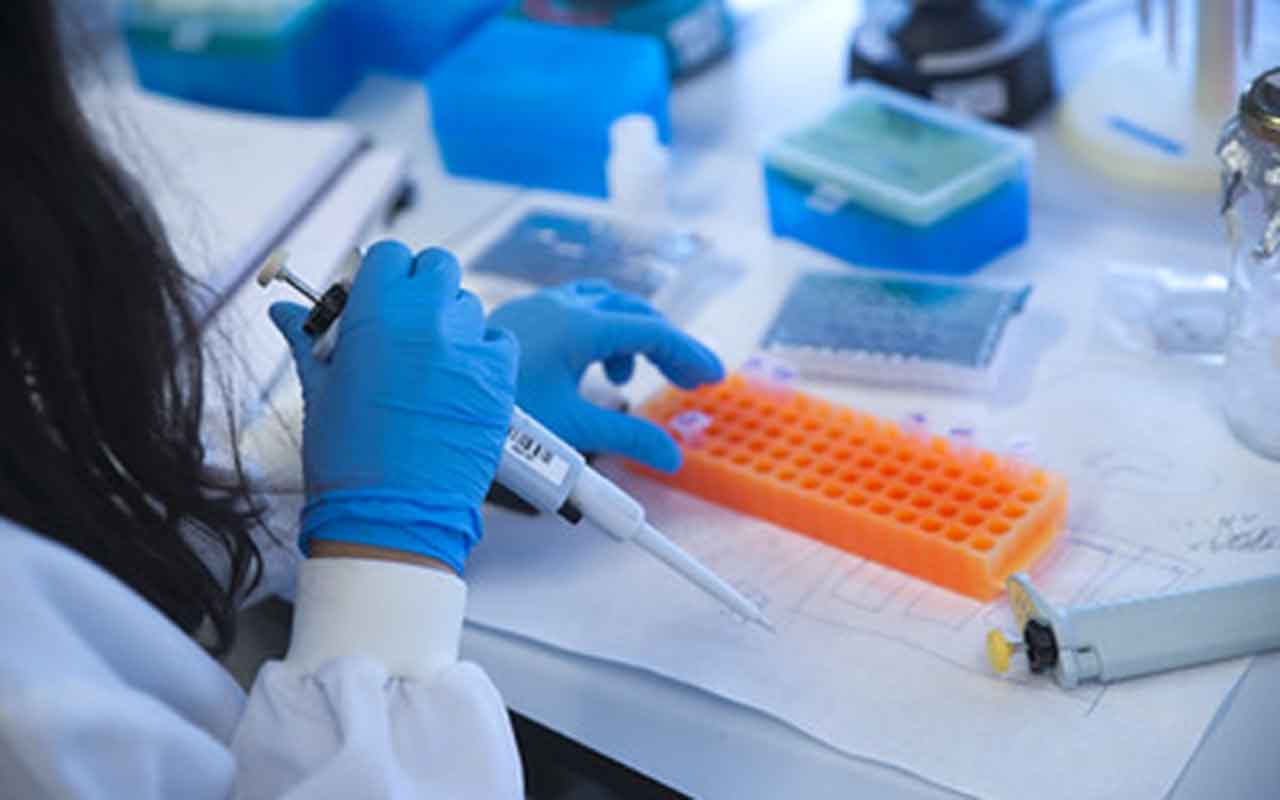 Cinco proyectos de investigación con potencial de llegar al mercado recibirán financiación del programa UPF INNOValora
