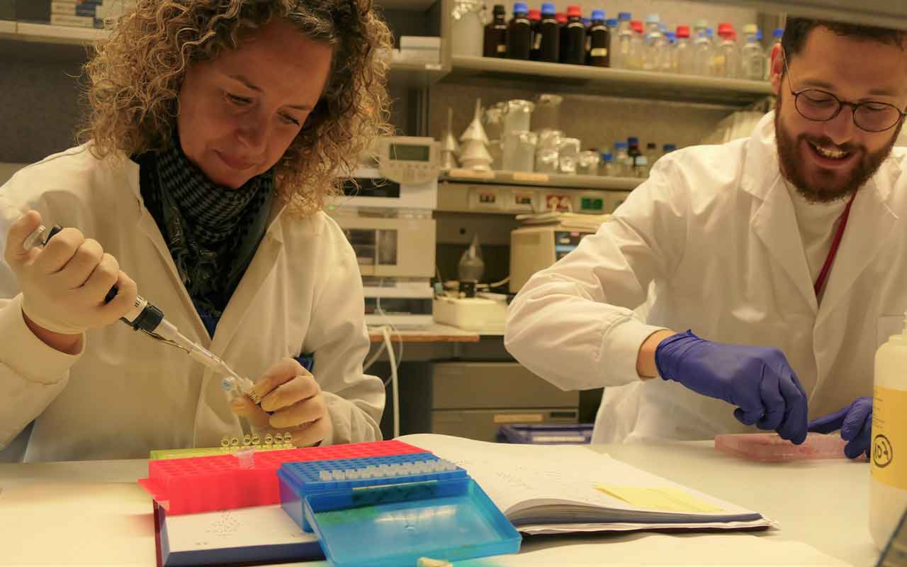Inician un estudio para identificar disfunciones neurológicas a partir de un análisis de sangre