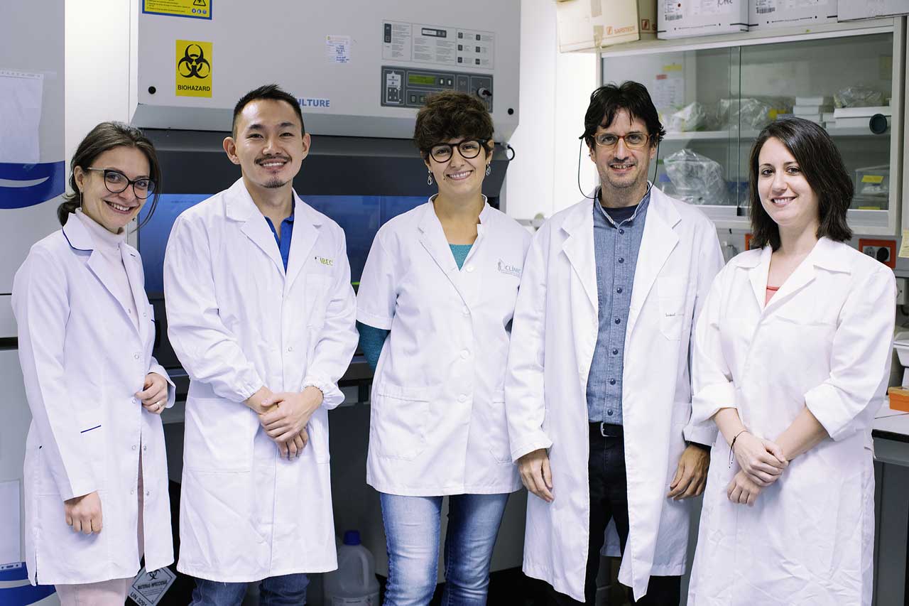 Identificados nuevos biomarcadores del cáncer de pulmón más frecuente