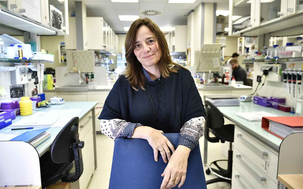 La actividad mitocondrial, nueva diana terapéutica para la enfermedad hepática por alcohol