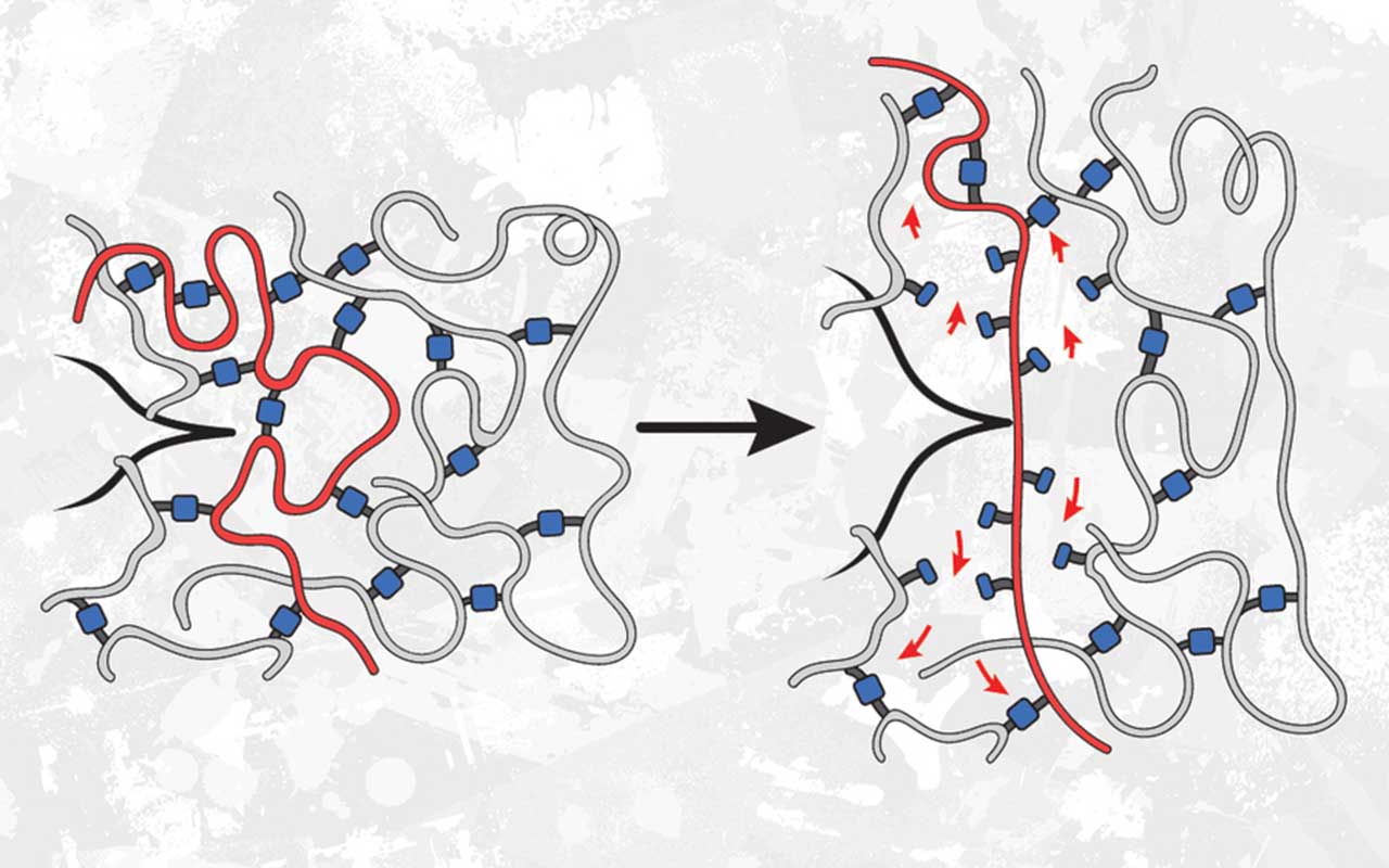 Surprise! Weaker bonds can make polymers stronger