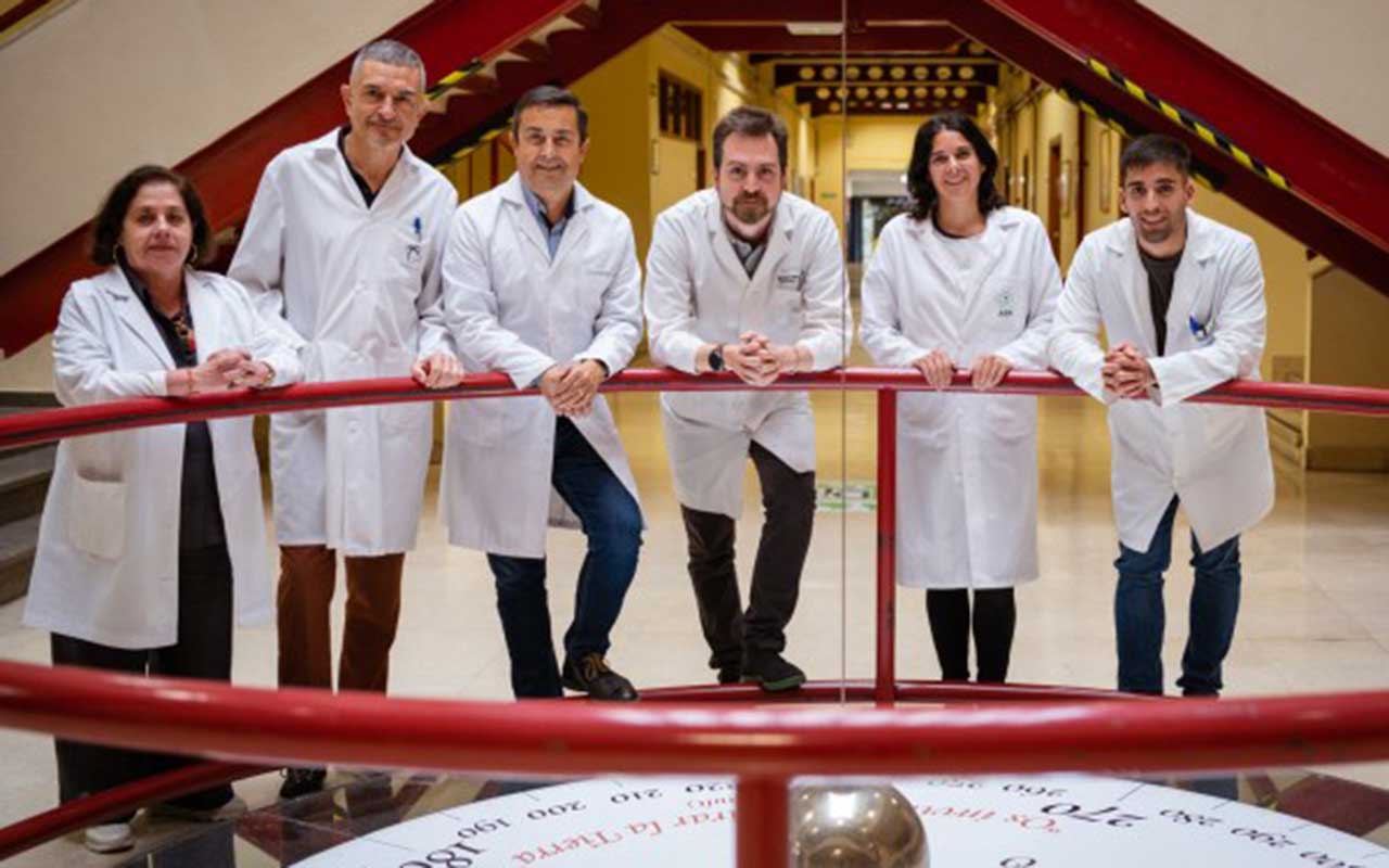 Diseñan nanopartículas de ácido maslínico, extraído del residuo de la aceituna, para el tratamiento de cáncer de mama y páncreas