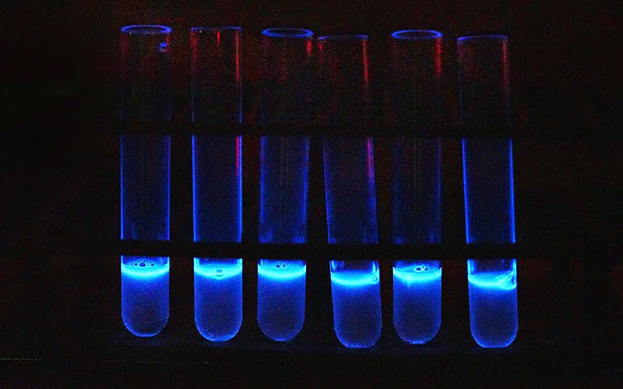 Genes “iluminados” detectan bacterias nocivas de los alimentos