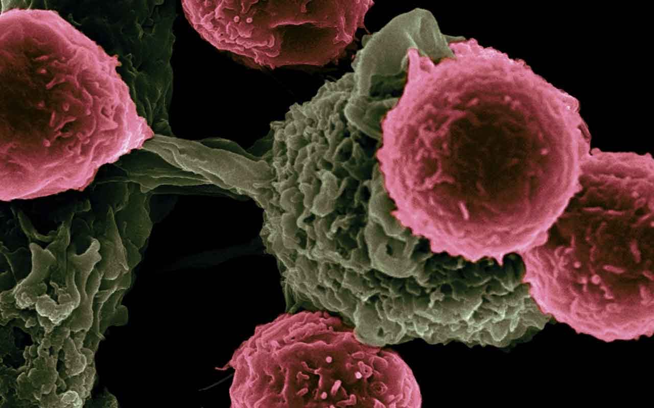 Moléculas sintéticas para mejorar el tratamiento del cáncer