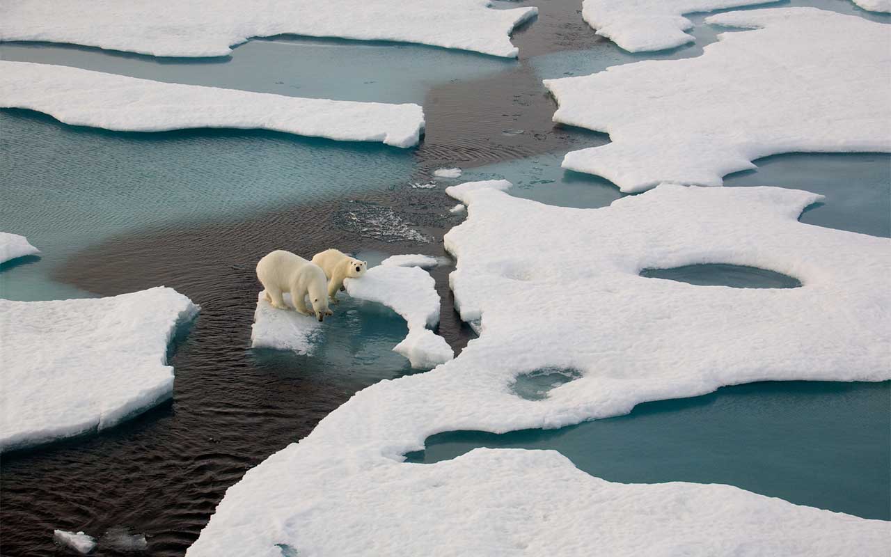 Expertos afirman que las emisiones de efecto invernadero están en su punto más alto y provocan un calentamiento global sin precedentes