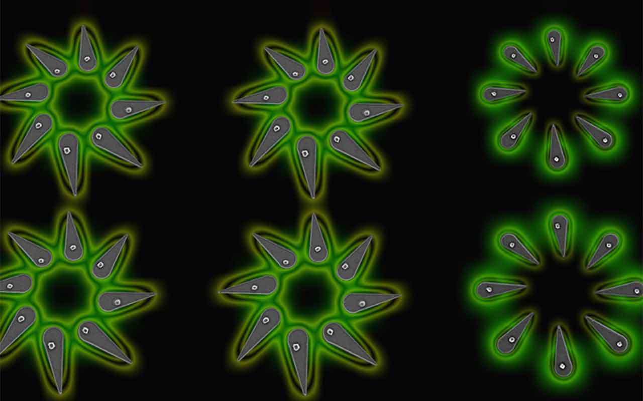 Researchers grow precise arrays of nanoLEDs