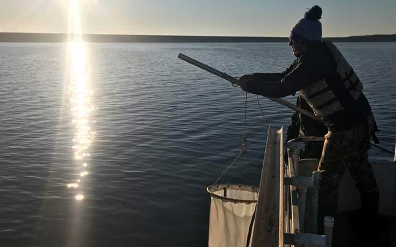 Study finds significant link between plastic in lakes and human population