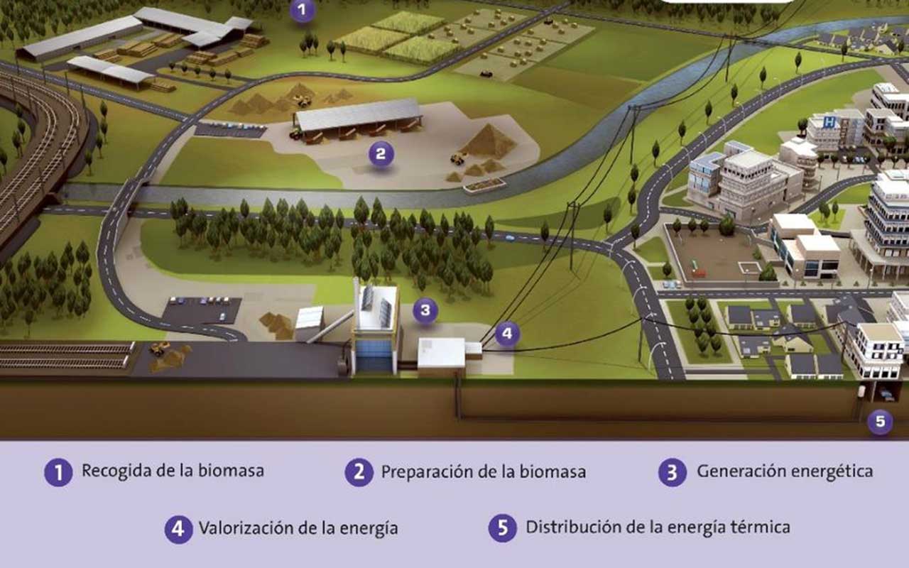 El aprovechamiento de la biomasa forestal como energía renovable, clave para prevenir incendios