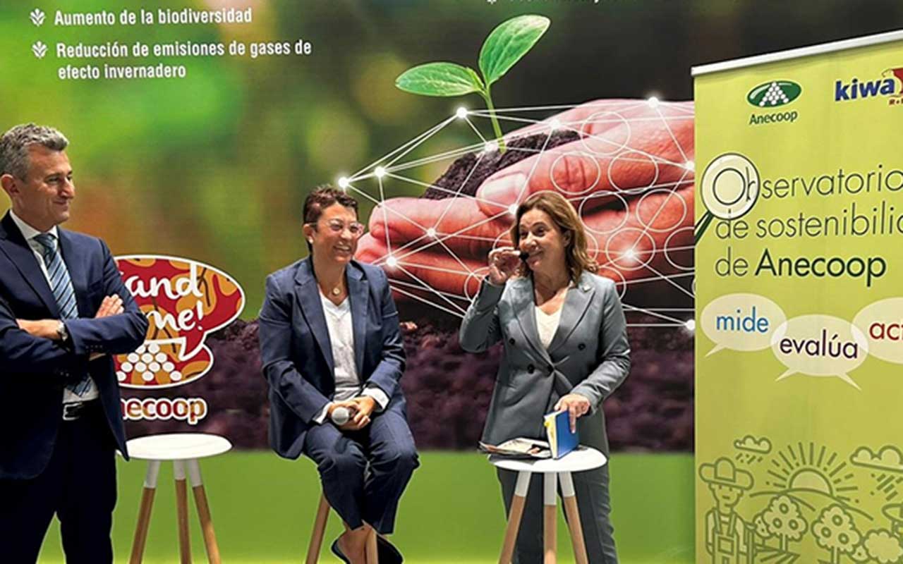Nace el Observatorio de Sostenibilidad del sistema agroalimentario