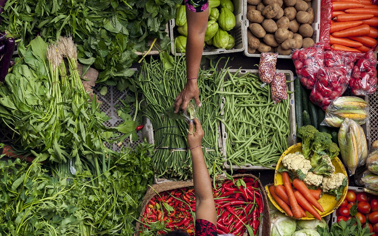 Gastronomy tourism project for Ubud, Indonesia