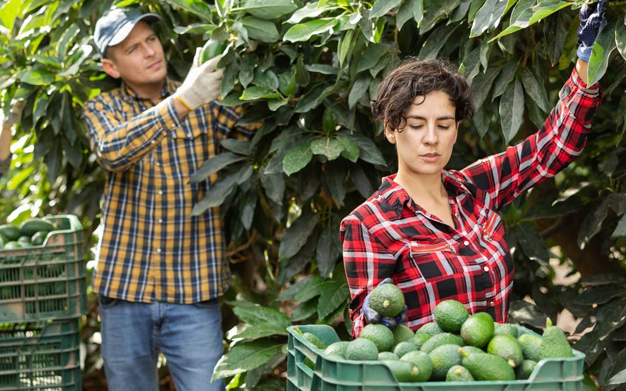 Europe forges new bonds between agriculture and biodiversity