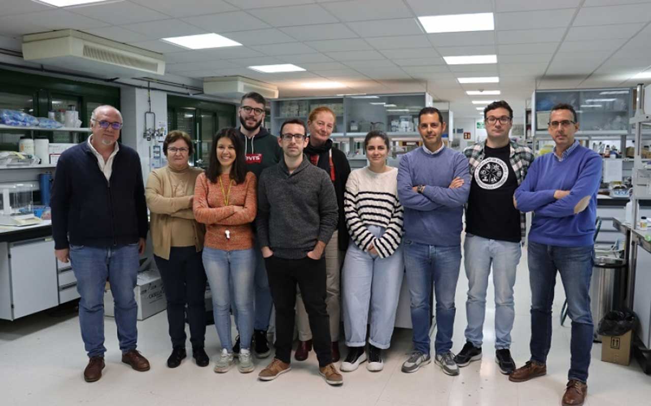 Desarrollan el primer prototipo de batería que usa hemoglobina para funcionar