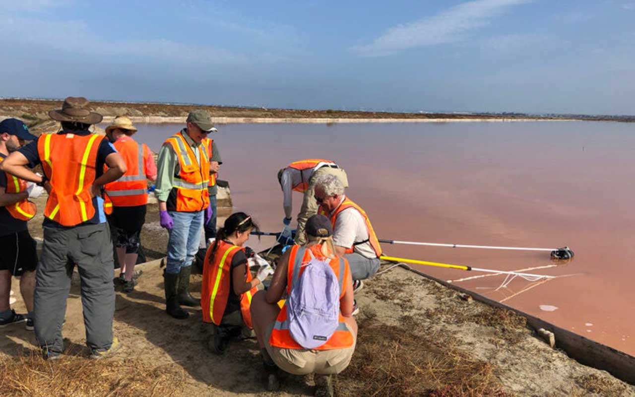 New research on microbes expands the known limits for life on Earth and beyond