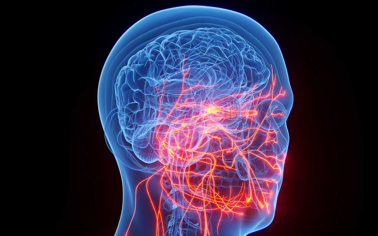 Touching a nerve in the fight against chronic pain and diseases
