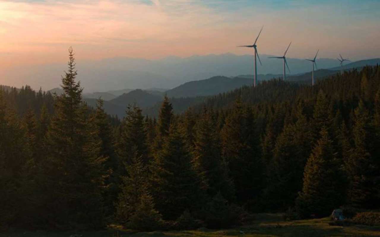Las emisiones de gases de efecto invernadero de la UE disminuyeron pero aún es necesario intensificar los esfuerzos para cumplir los objetivos para 2030
