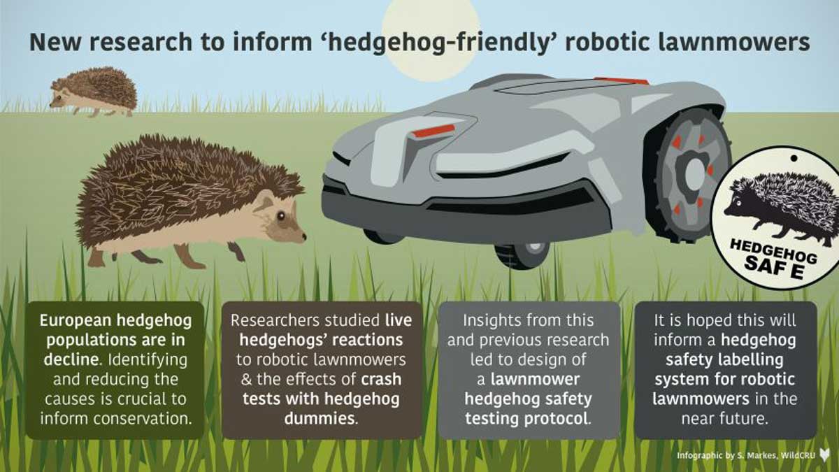 Researchers develop hedgehog safety test for robotic lawnmowers