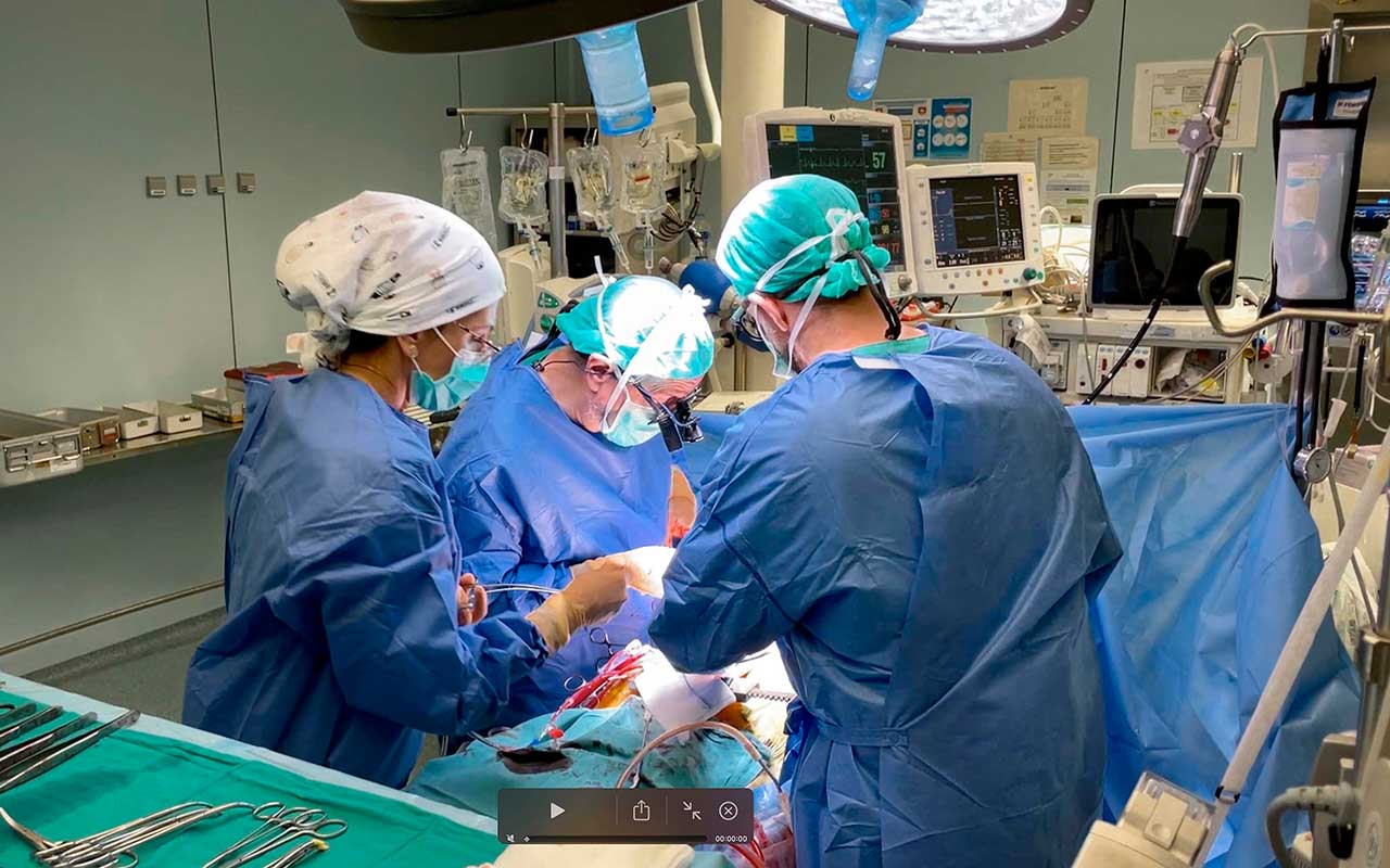 El Hospital La Fe es el centro que más trasplantes cardiacos y hepáticos ha realizado de toda España