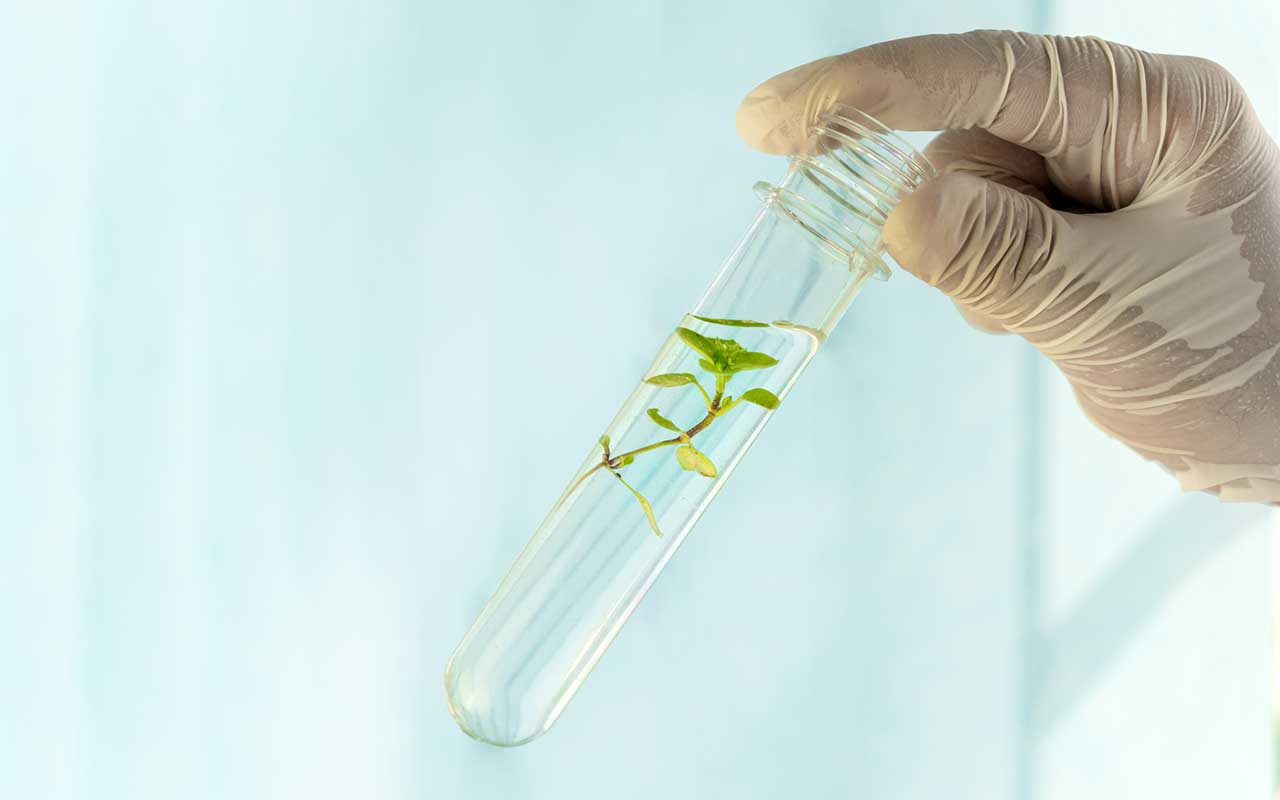 Un consorcio europeo con participación del CSIC desarrollará una red de ecología química
