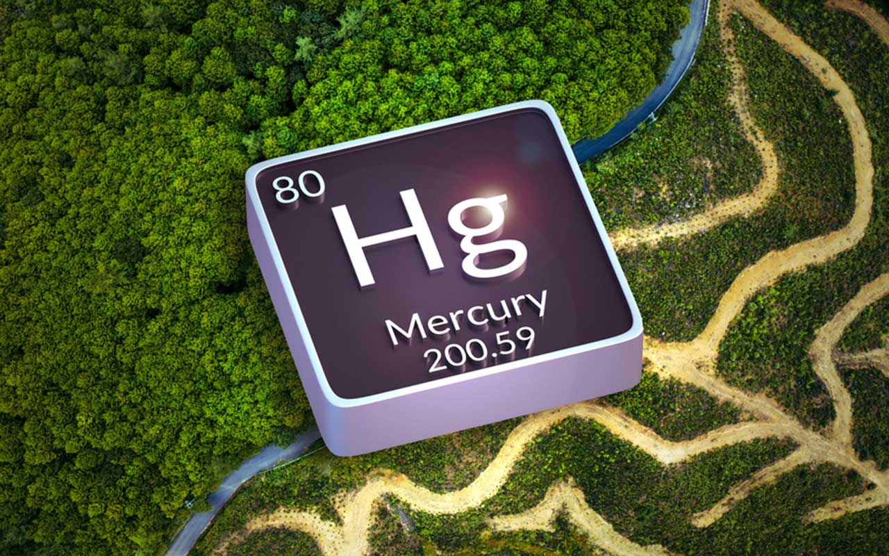 Study: Global deforestation leads to more mercury pollution