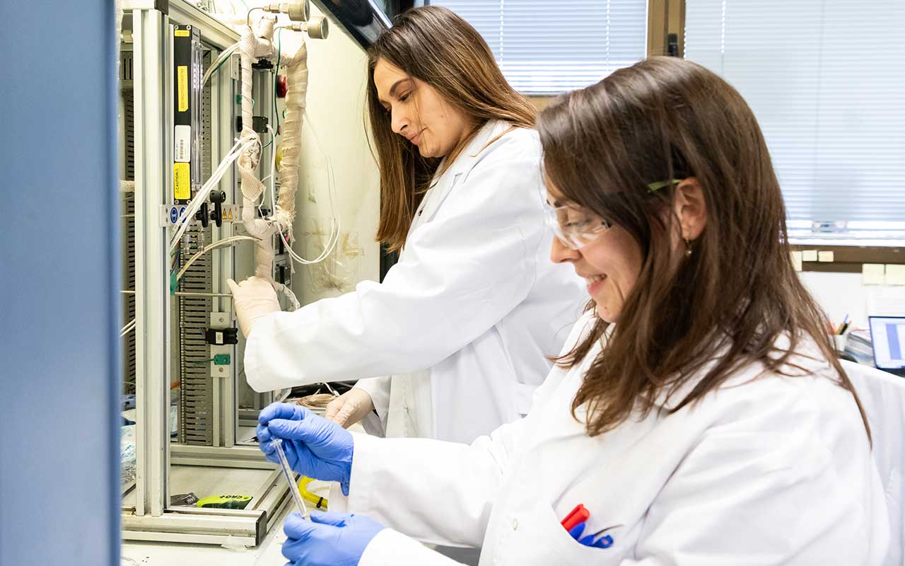 Patentan un nuevo catalizador más seguro y eficiente para purificar etileno, uno de los mayores procesos químicos del mundo
