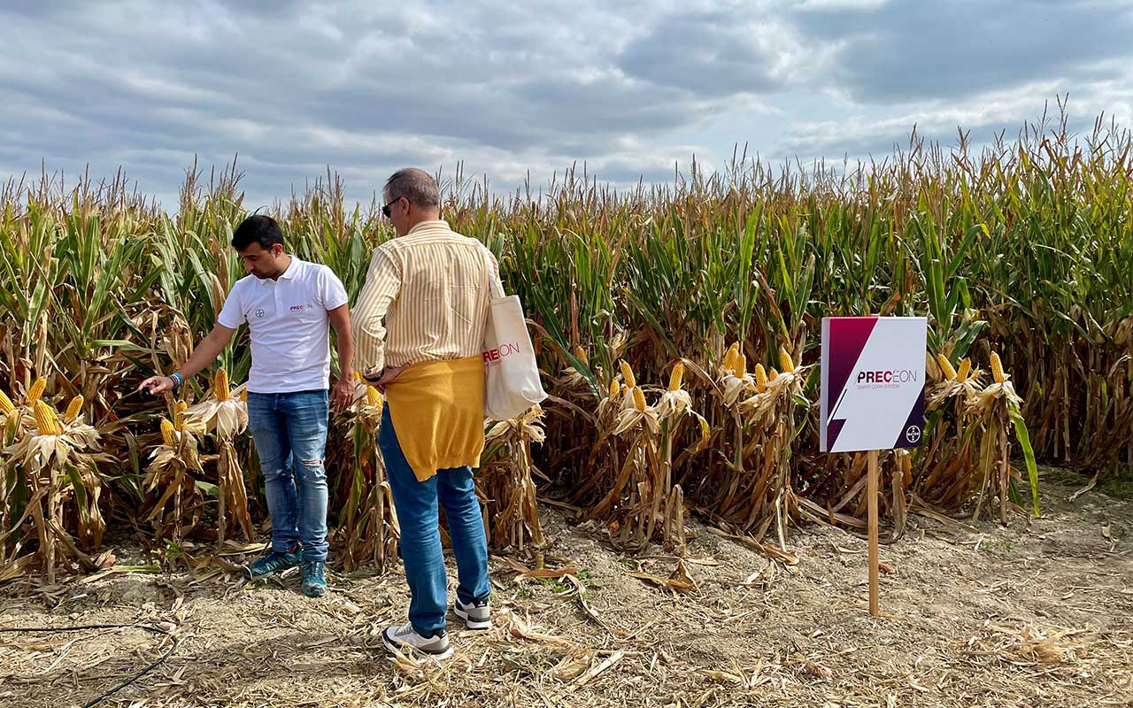Bayer presenta Preceon, el nuevo sistema de cultivo de maíz más productivo y sostenible