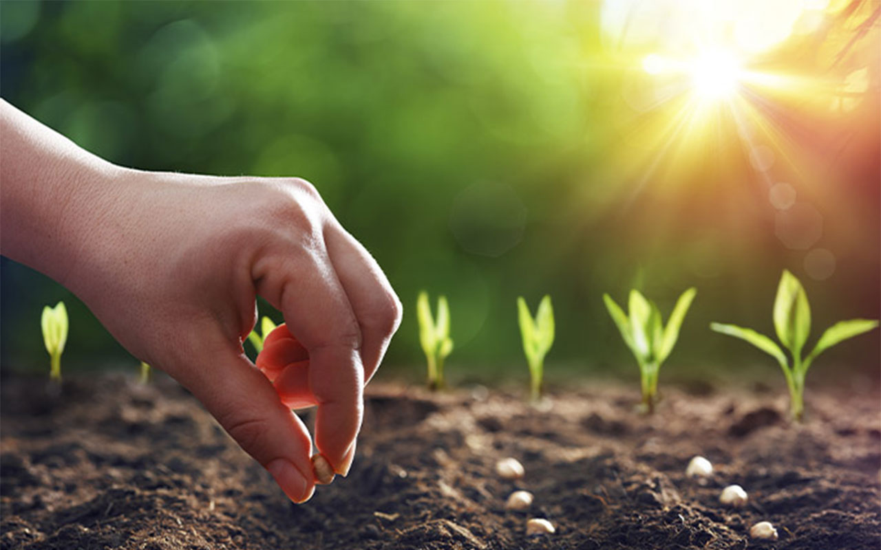 Making fertilisers for the world, the eco-friendly and energy efficient way