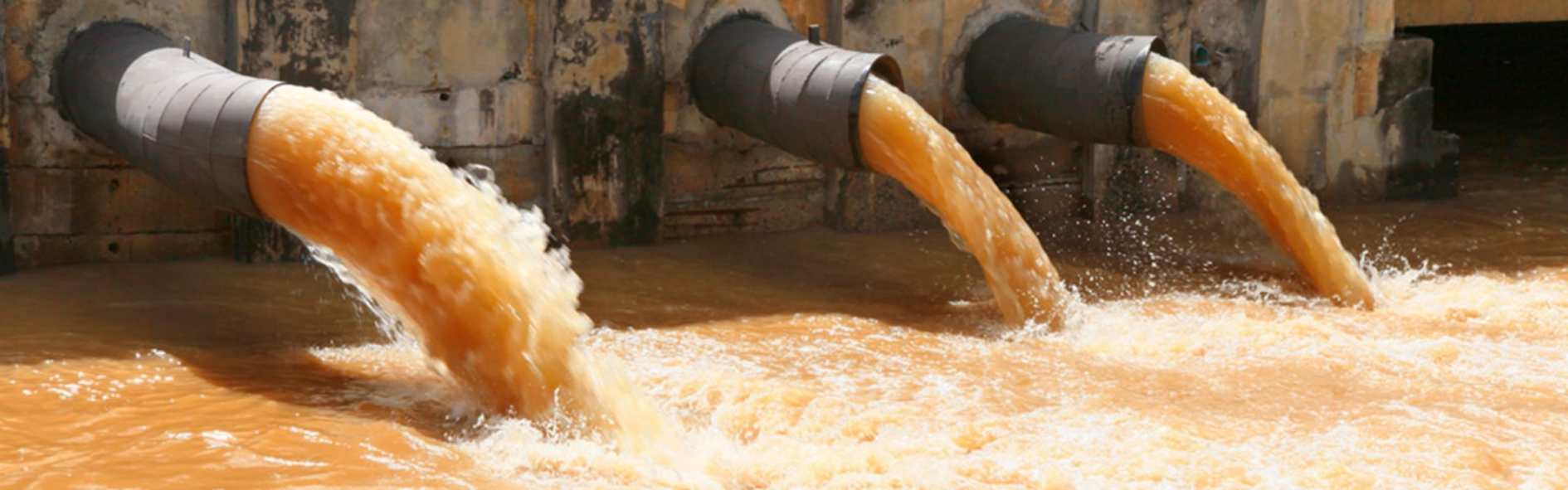 Smart wastewater recovery for a greener food industry