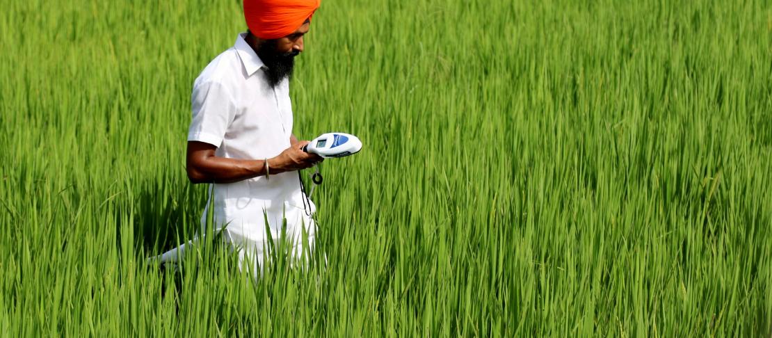 Smarter agriculture: farmers work with nature to cut pesticide