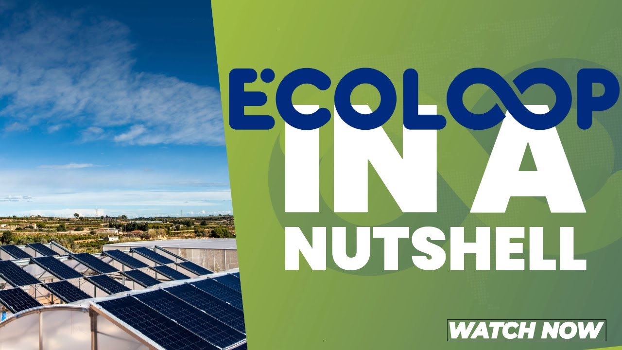 Renewable energy solutions for a sustainable and circular economy
