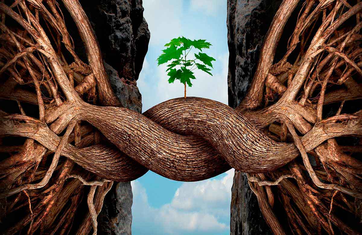 Boosting societal resilience with trustworthy AI tools