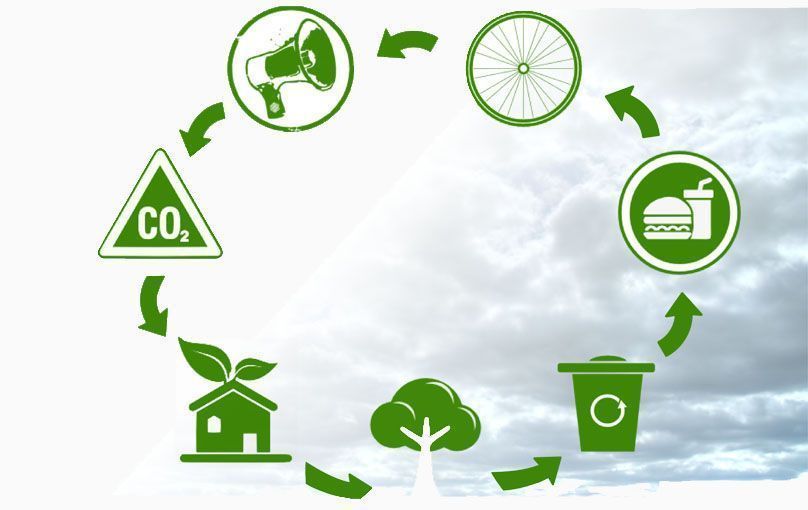 Rueda Ecología Rueda Ecología