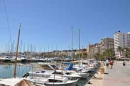 Palma