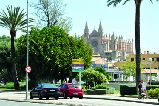 Palma Smart